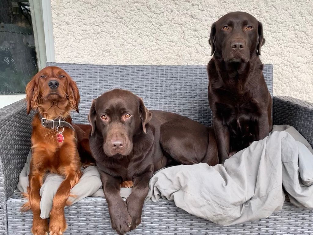 photos de famille 