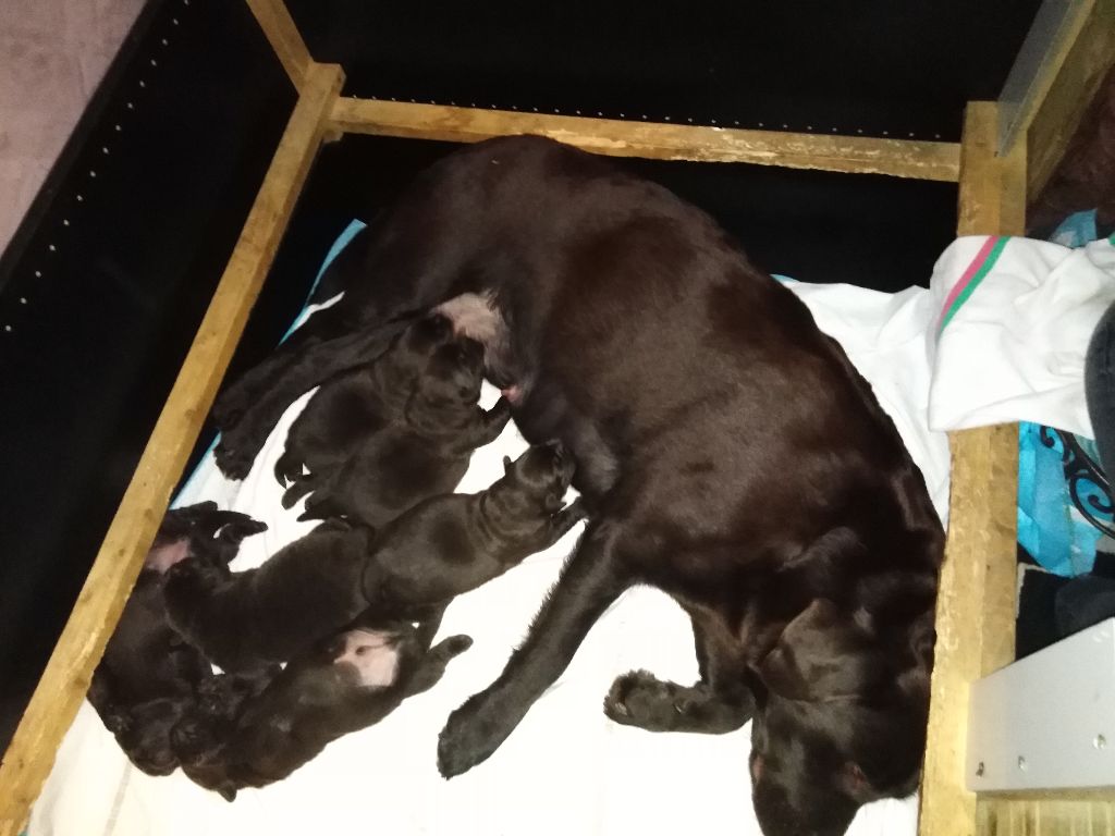 Bébés Night et Juke